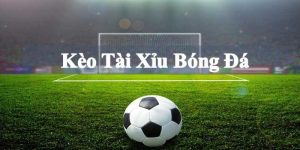 Kèo Tài Xỉu U888 - Bí Kíp Thắng Lớn Từ Chuyên Gia